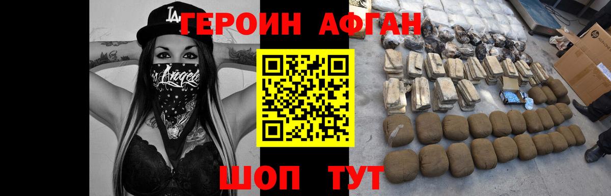 ГЕРОИН хмурый Сосновый Бор