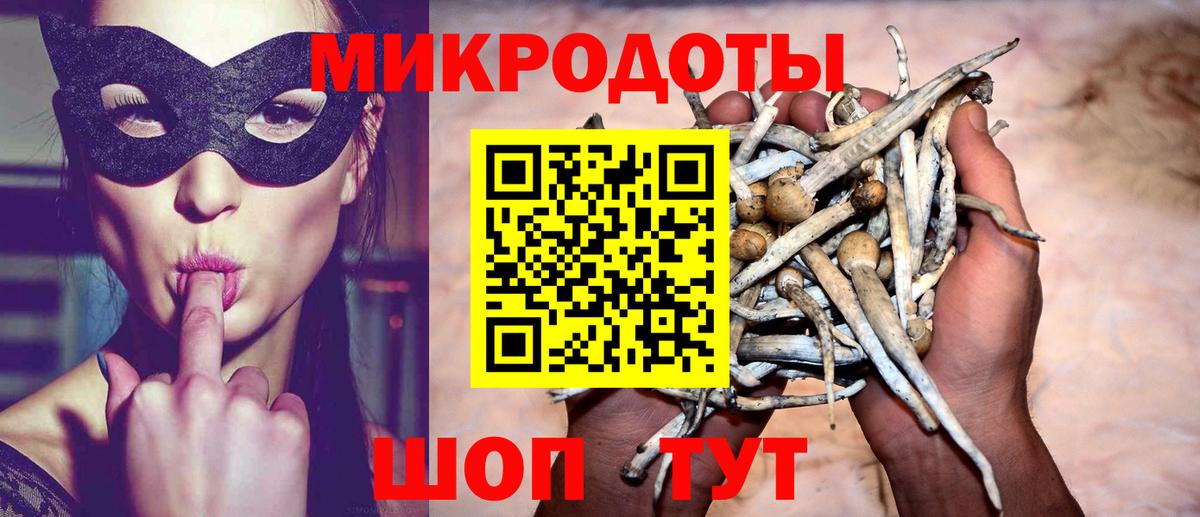 Галлюциногенные грибы мицелий Сосновый Бор
