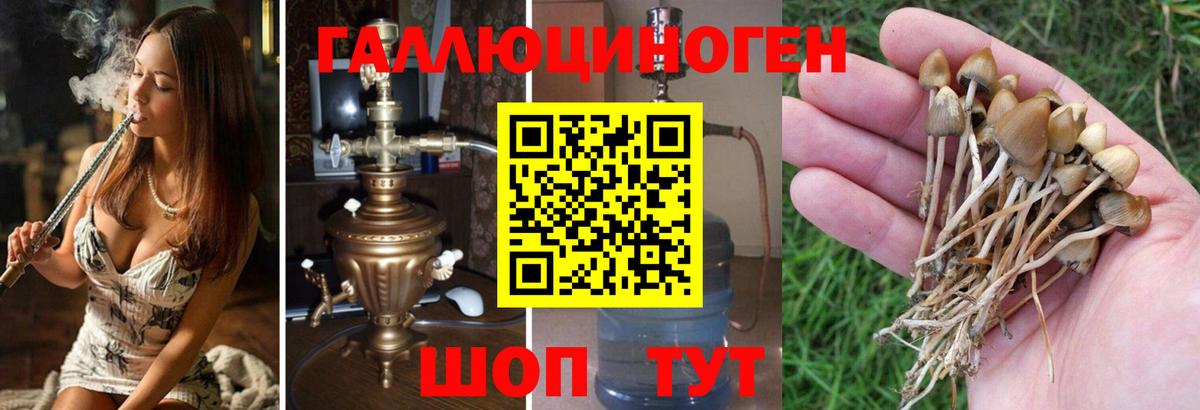 Псилоцибиновые грибы Magic Shrooms  Псилоцибиновые грибы Psilocybine cubensis  Вход с VPN  Сосновый Бор 